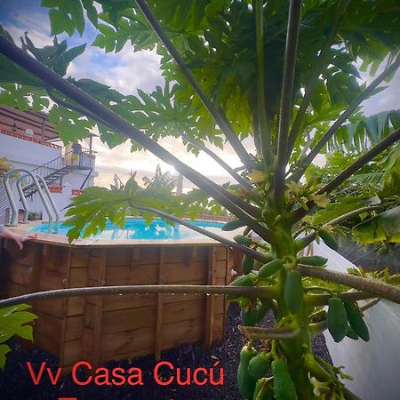 Casa Cucu Villa Tazacorte Kültér fotó
