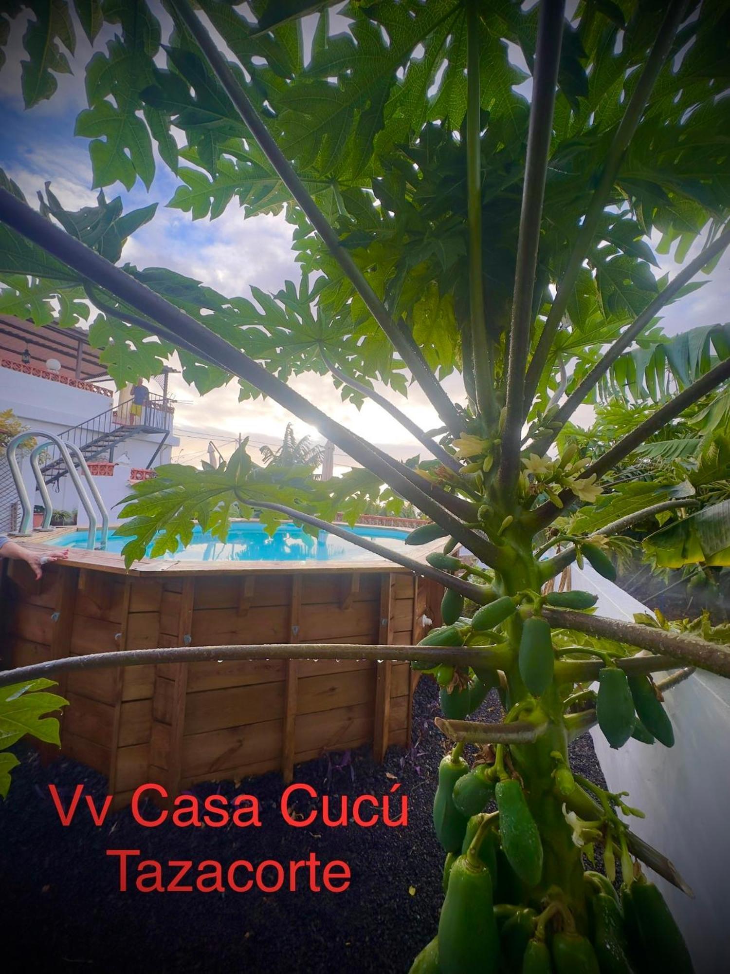 Casa Cucu Villa Tazacorte Kültér fotó